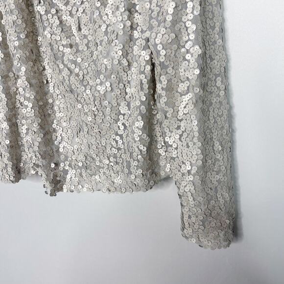 Allison Joy Medium M Light Gray Nina Matte Sequin V Neck Long Sleeve Blouse Top - Picture 3 of 11